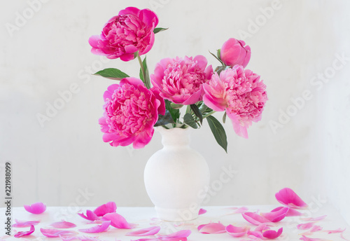 pink peonies in vase on  white  background