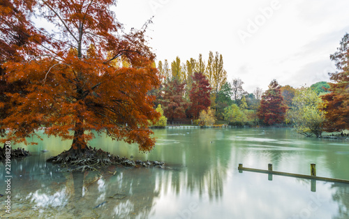 reb tree on green lake