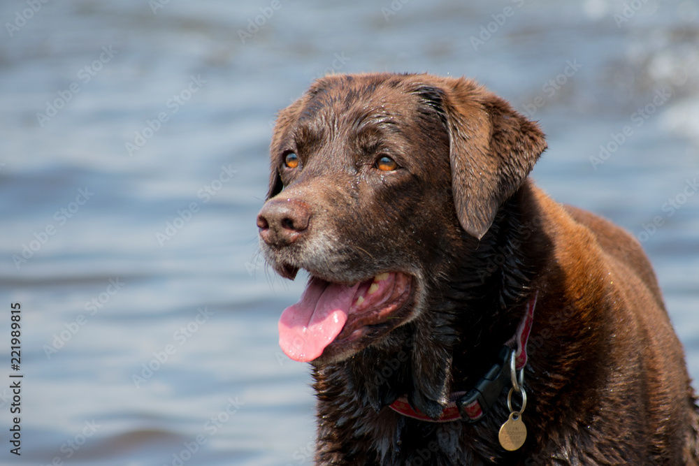 Cooling Off Cooling Off