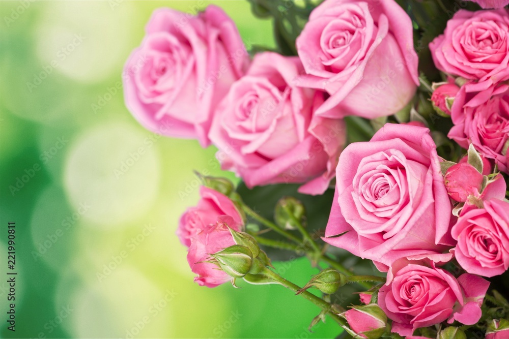 Rose. Rose.