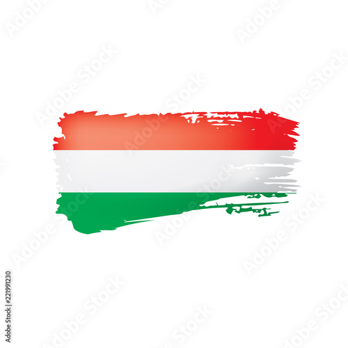 Hungary flag  vector illustration on a white background