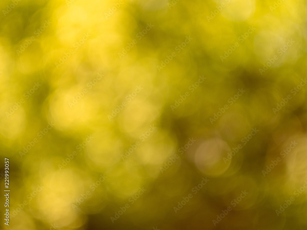 Background with effect of bokeh. Defocused leaves of trees. Abstract blurred view on trees spring and summer season. Sunny picture of nature. Landscape out of focus. Background with effect of bokeh. Defocused leaves of trees. Abstract blurred view on trees spring and summer season. Sunny picture of nature. Landscape out of focus.