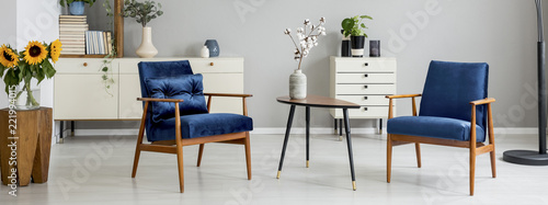 Real photo of plant in vase placed on end table standing between two navy blue armchairs in light grey living room interior with two cupboards