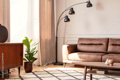 Black lamp next to leather sofa in retro living room interior with plant next to cupboard. Real photo photo