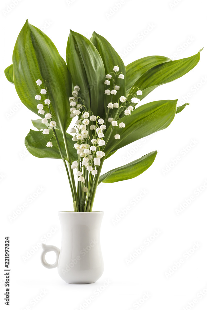 Obraz premium Beautiful bouquet of lilies of the valley flowers, Convallaria Majalis, with green leaves in white cup on white background