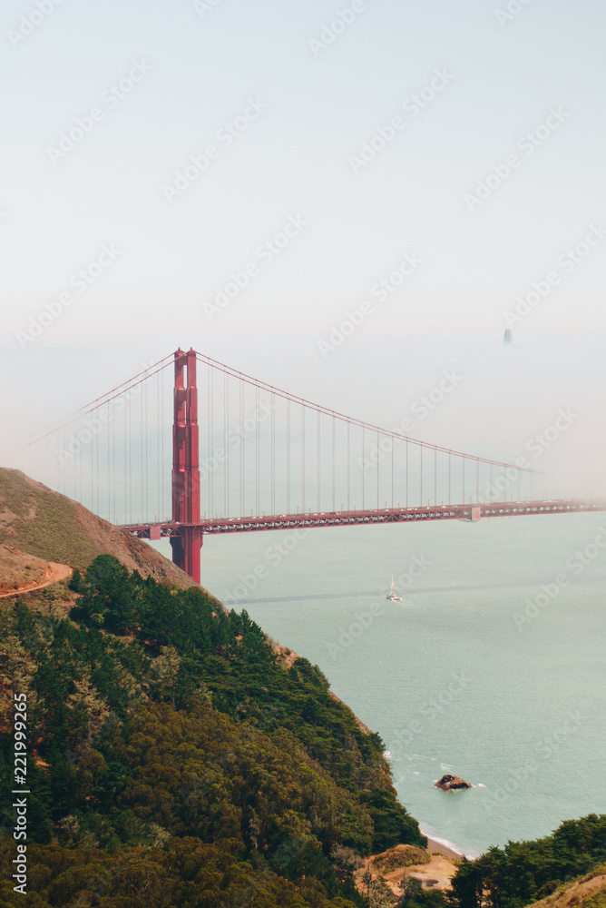 Fototapeta premium golden state 1