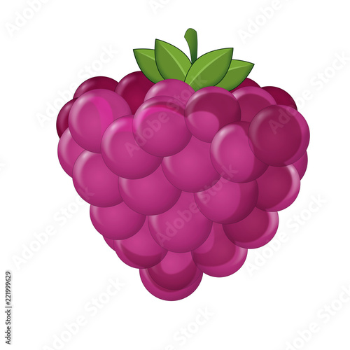 cartoon scene with raspberry on white background - illustration for children  photo