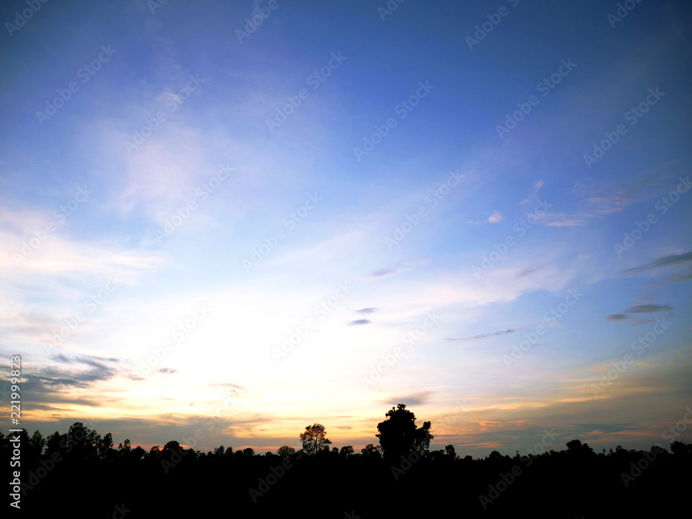 Beautiful Sunset, sunlight and tree field landscape in the evening. Beautiful Sunset, sunlight and tree field landscape in the evening.