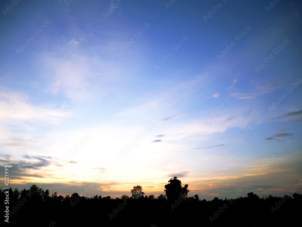 Beautiful Sunset, sunlight and tree field landscape in the evening.