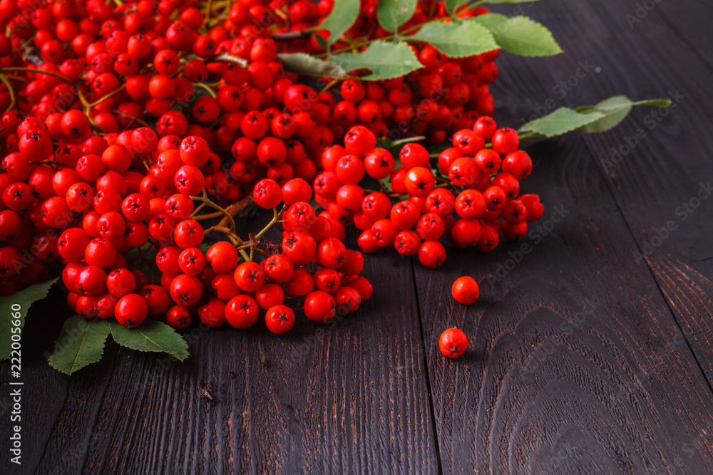rowan berries on wooden table rowan berries on wooden table