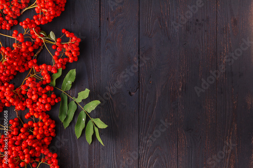 rowan berries on wooden table