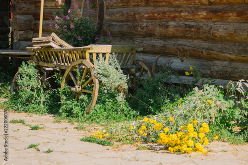 yellow flowers and truck 