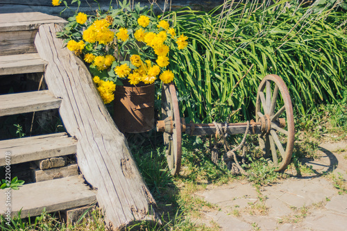 yellow flowers and truck 
