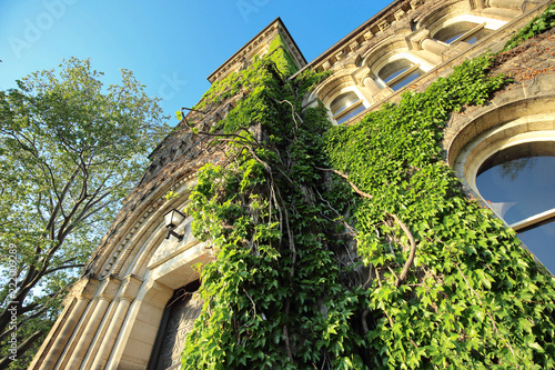 Photography Toronto University Campus