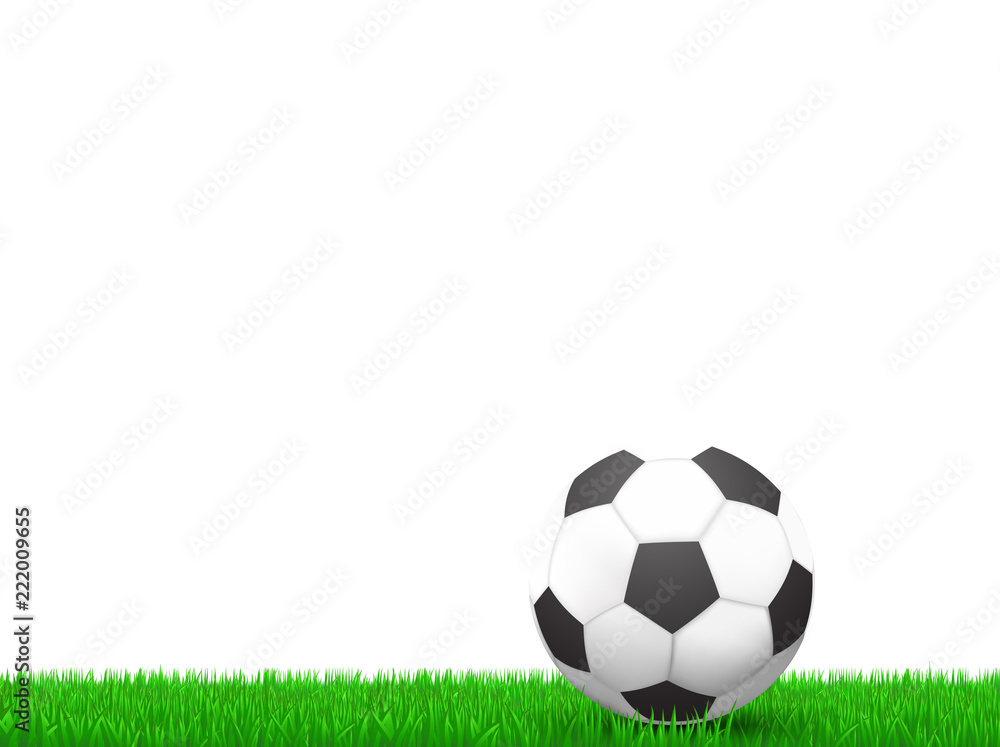 soccer ball  on grass over white