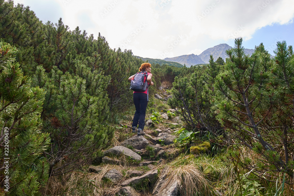 Fototapeta premium Woman hiking into the mountains