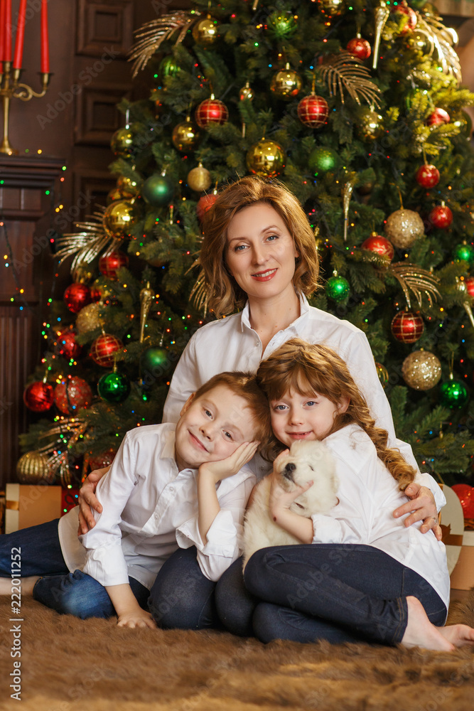 Family with samoyed puppy, christmas Family with samoyed puppy, christmas