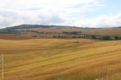 Panorama con campi dorati © Di Caccamo A.