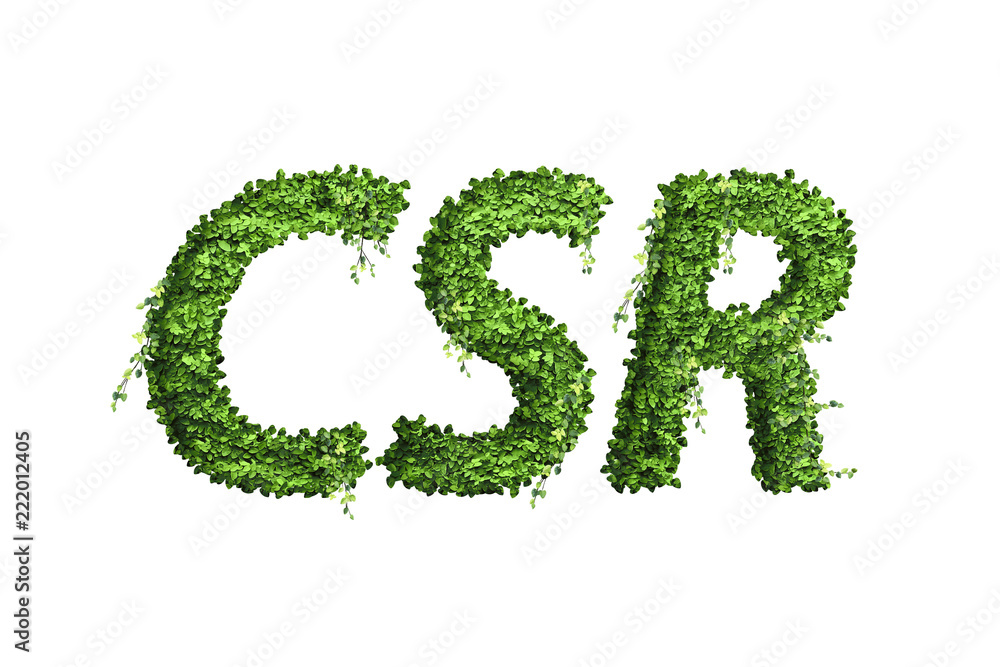 Letter of leaf alphabet. Leaf letter CSR isolated on white background Letter of leaf alphabet. Leaf letter CSR isolated on white background