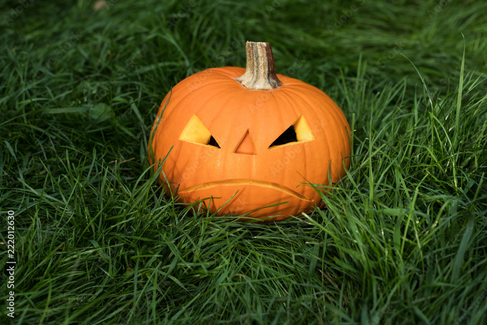 halloween carved pumpkin on grass, jack-o-lantern halloween carved pumpkin on grass, jack-o-lantern
