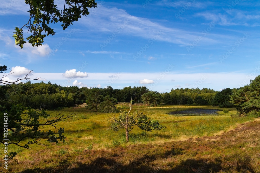 Idyllische Heidefläche mit Teich in Norddeutschland