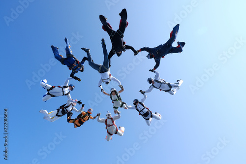 Skydiving. Formation is in the sky.