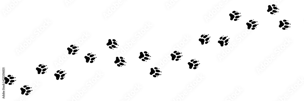 Obraz premium Ślad psa, wilka. Pies szczeniak sylwetka zwierzęce ukośne tory na t-shirty, tła, wzory, strony internetowe, projekty gablot, kartki z życzeniami, nadruki dziecięce. To szczotka