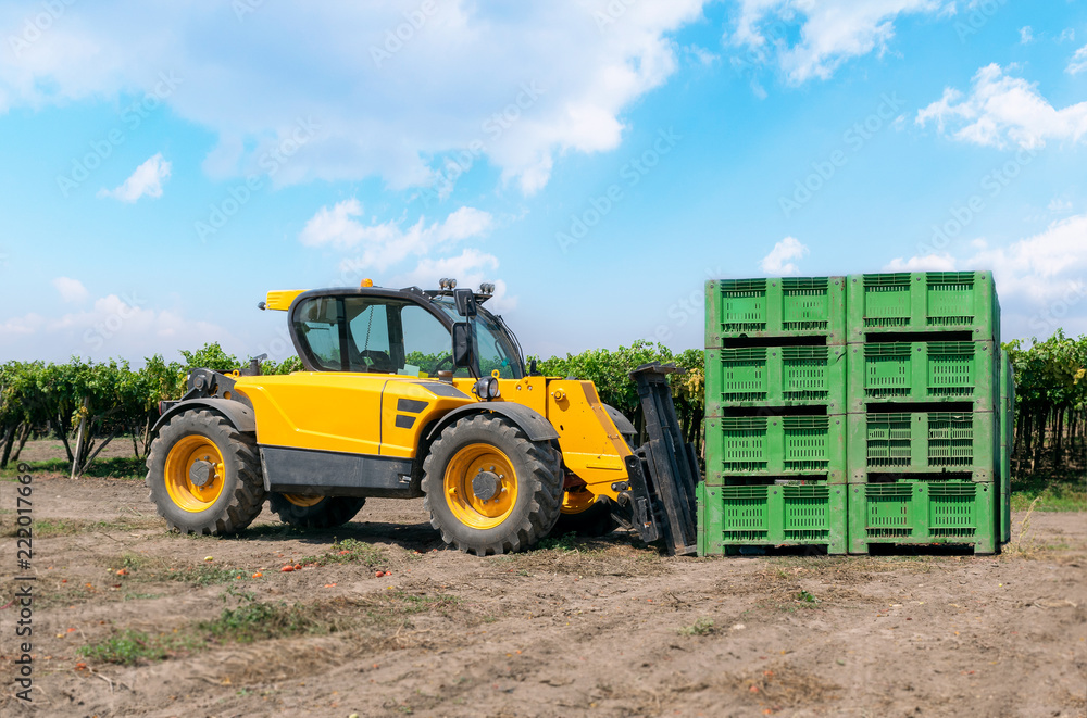Obraz premium Forklift loader loads plastic boxes in a field on a vineyard background.