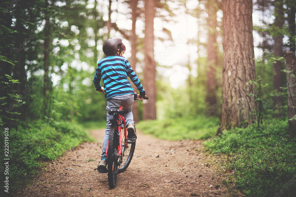 Naklejka premium child on a bicycle in the forest in early morning. Boy cycling outdoors in helmet