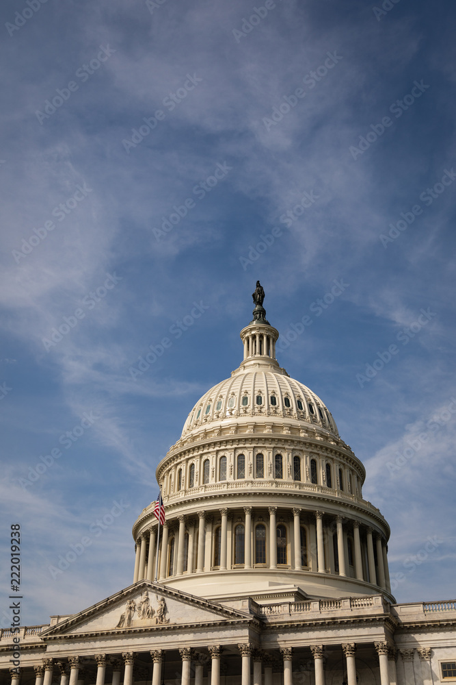 The Dome of the United States Capitol Building in Early Light with Copy Space