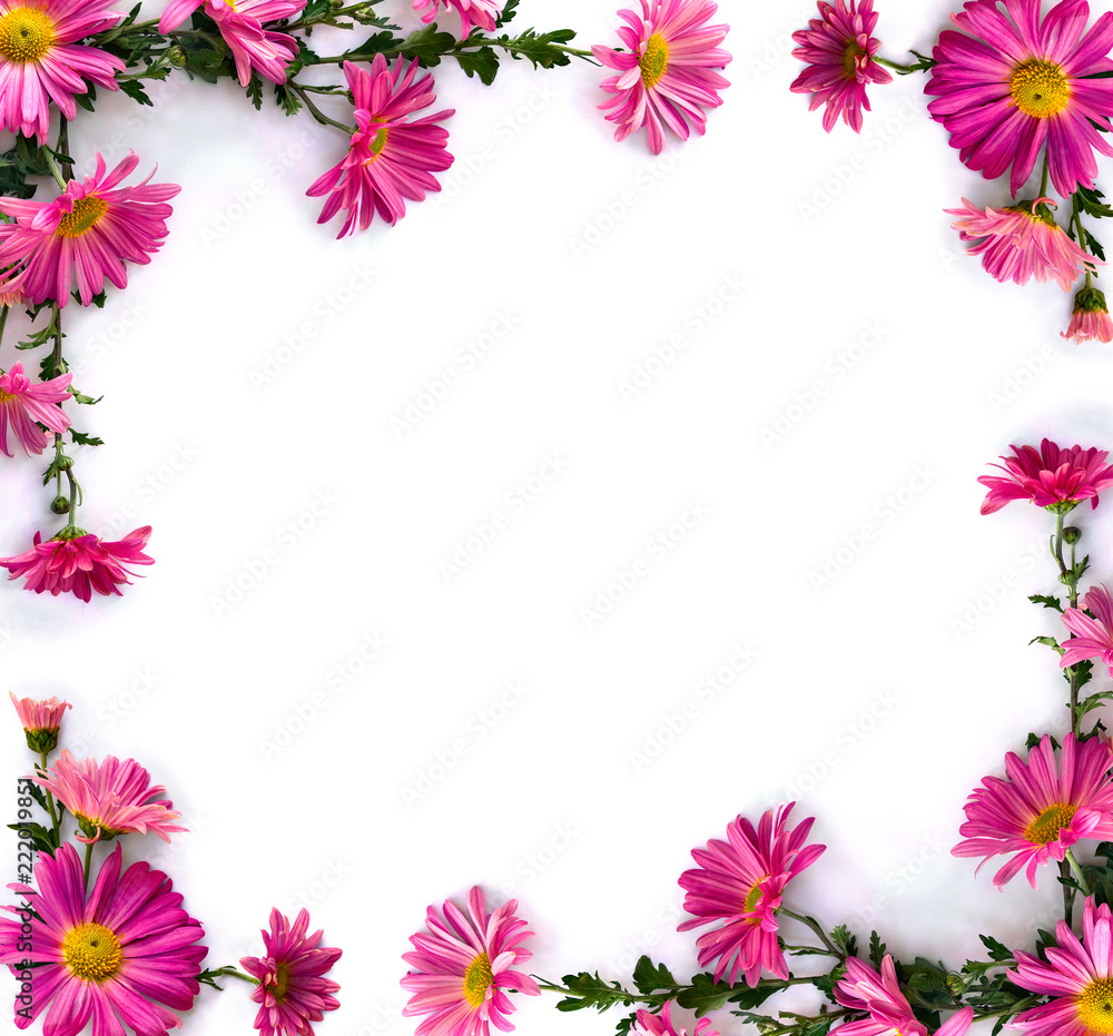 Bouquet of flowers pink chrysanthemum on a white background with space for text. Top view, flat lay Bouquet of flowers pink chrysanthemum on a white background with space for text. Top view, flat lay