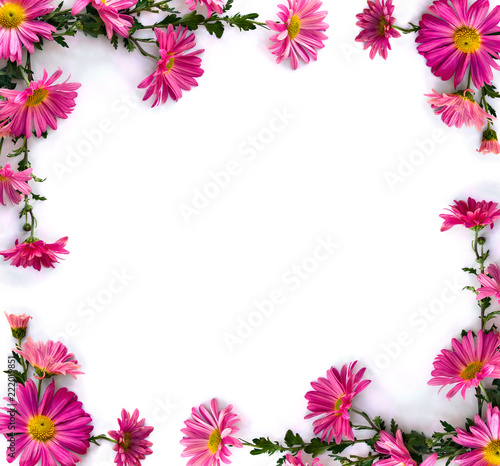 Bouquet of flowers pink chrysanthemum on a white background with space for text. Top view  flat lay