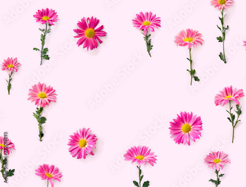 Fototapeta Naklejka Na Ścianę i Meble -  Flowers pink chrysanthemum on a pink background with space for text. Top view, flat lay