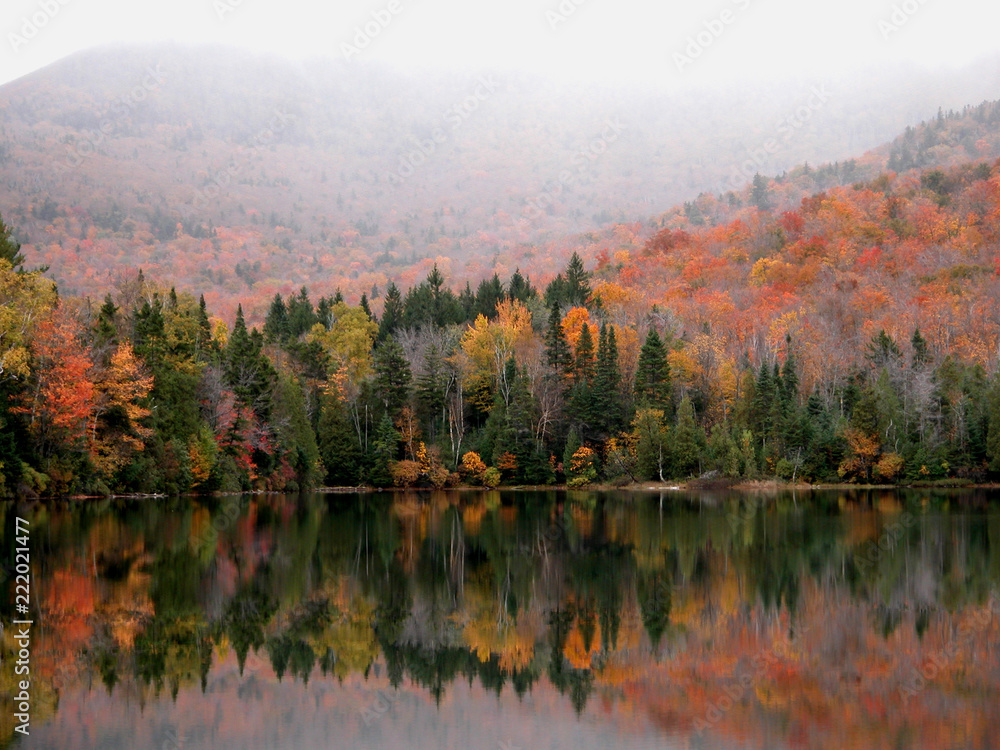 Fototapeta premium Reflection