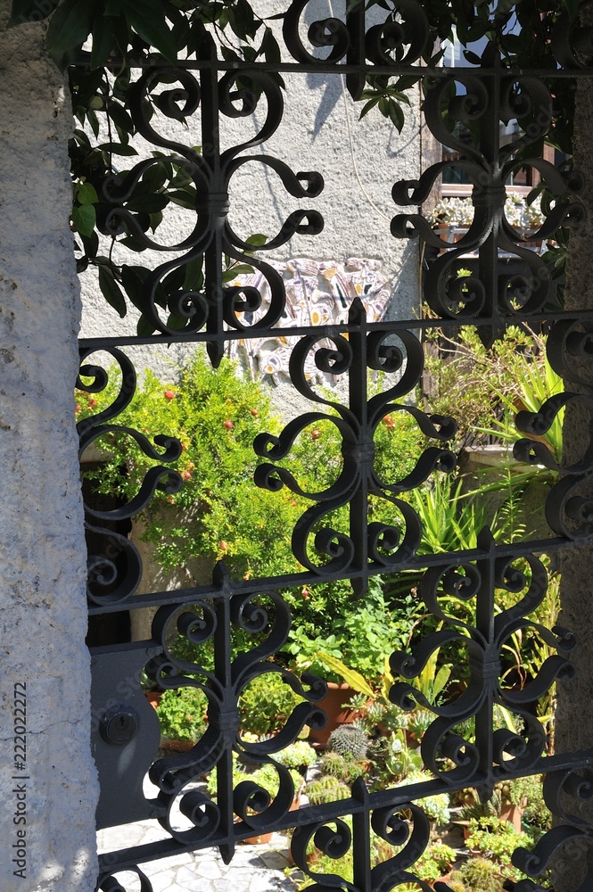 Piante e fiori imprigionate dietro antico cancello in ferro nel giardini. Messa a fuoco sul cancello con fiori sfuocati