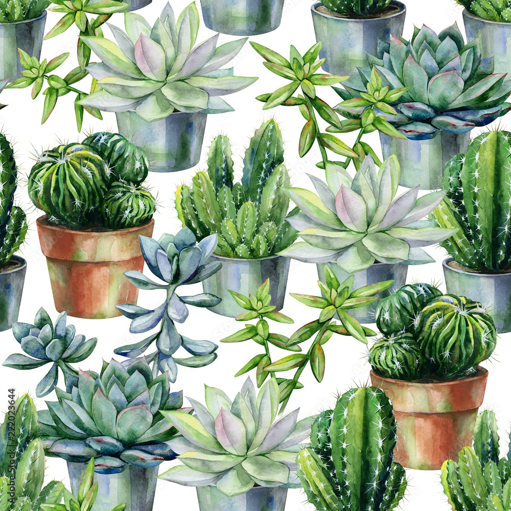 Seamless watercolor pattern with cactus and succulents in pots. Cacti ...