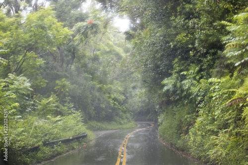 Downpour Rain on Road in Maui Hawaii Storm