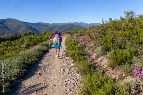 Camino de Santiago Spain