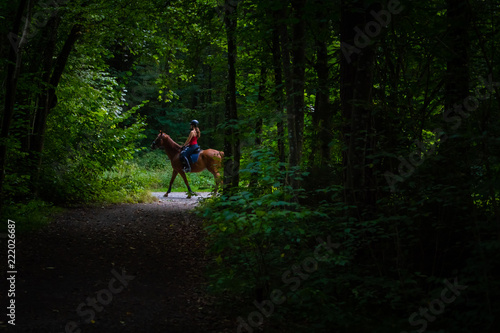 Horse rider deep in the forest. Horse friendship