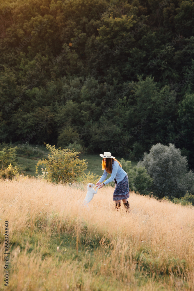 girl in a hat playing with a dog in the field at sunset sun girl in a hat playing with a dog in the field at sunset sun