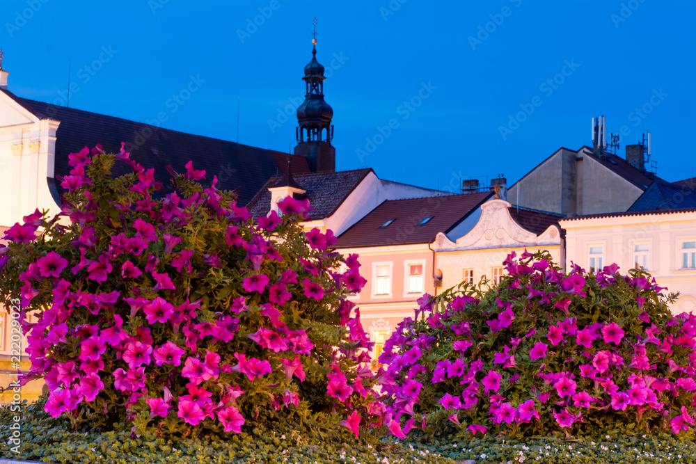 Bohemian Budejovice, Czech Republic, Europe 