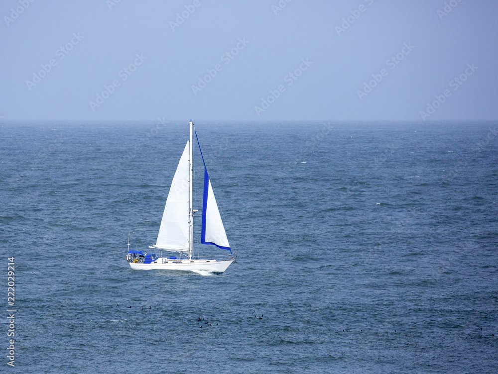Sailboat and seascape, San Francisco, California in summer 2018