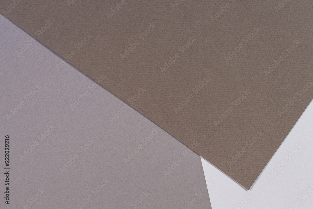 Color papers geometry composition background with gray and brown trendy color tones