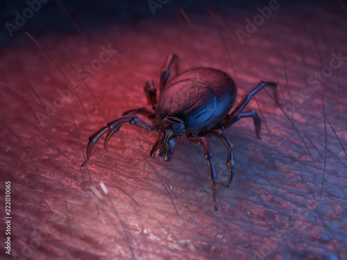 3d rendered illustration of a tick on skin
