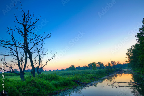 Biebrza river at dawn. Osowiec, Podlasie, Poland.