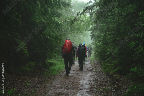Fototapeta Naklejka Na Ścianę i Meble -  Tourists in the rainy forest