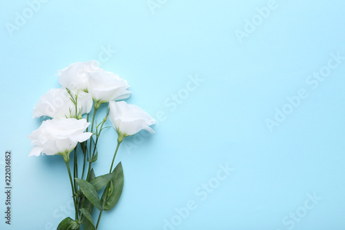 Bouquet of white eustoma flowers on blue background