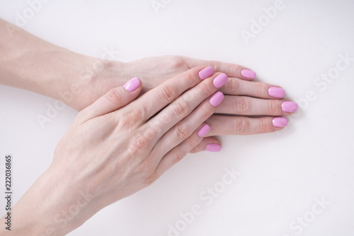 Gentle pink manicure. Female hands on a white background