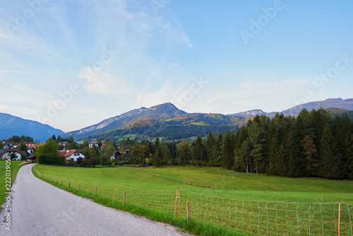 Wallpaper Mural Beautiful mountain valley/field road landscape with forest, traditional austrian village and blue sky in Austrian Alps. Austria, Salzkammergut Torontodigital.ca