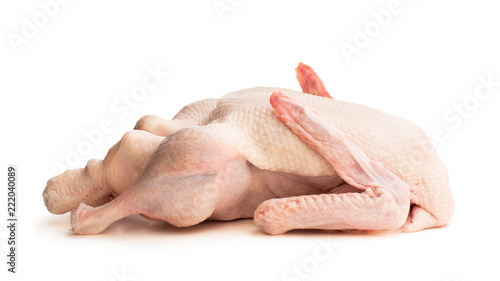 Raw whole duck isolated on white
